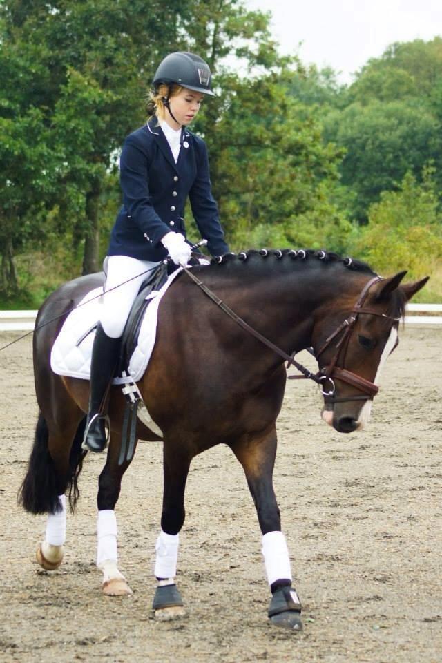 New Forest Sjølunds Tornado! billede 27