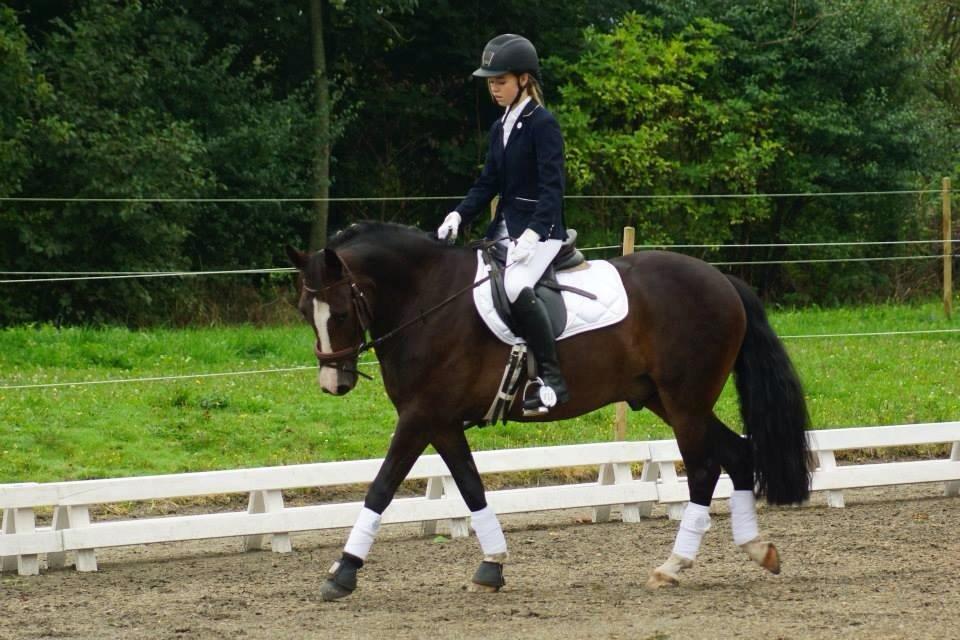 New Forest Sjølunds Tornado! billede 25