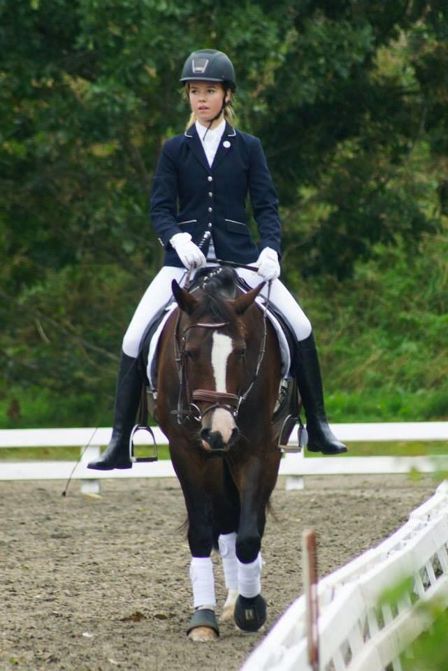 New Forest Sjølunds Tornado! billede 28