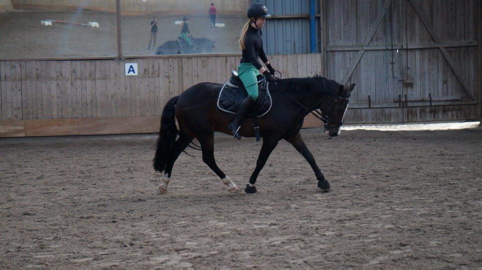 New Forest Sjølunds Tornado! billede 19