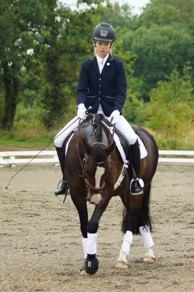 New Forest Sjølunds Tornado! billede 26