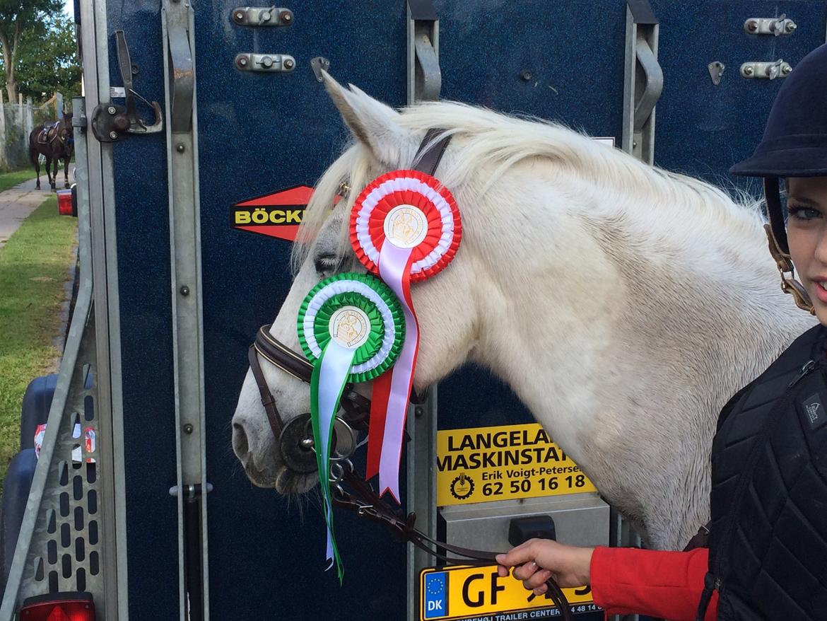 Anden særlig race Maicha - Vinder af LC og 3. plads i LB* billede 15