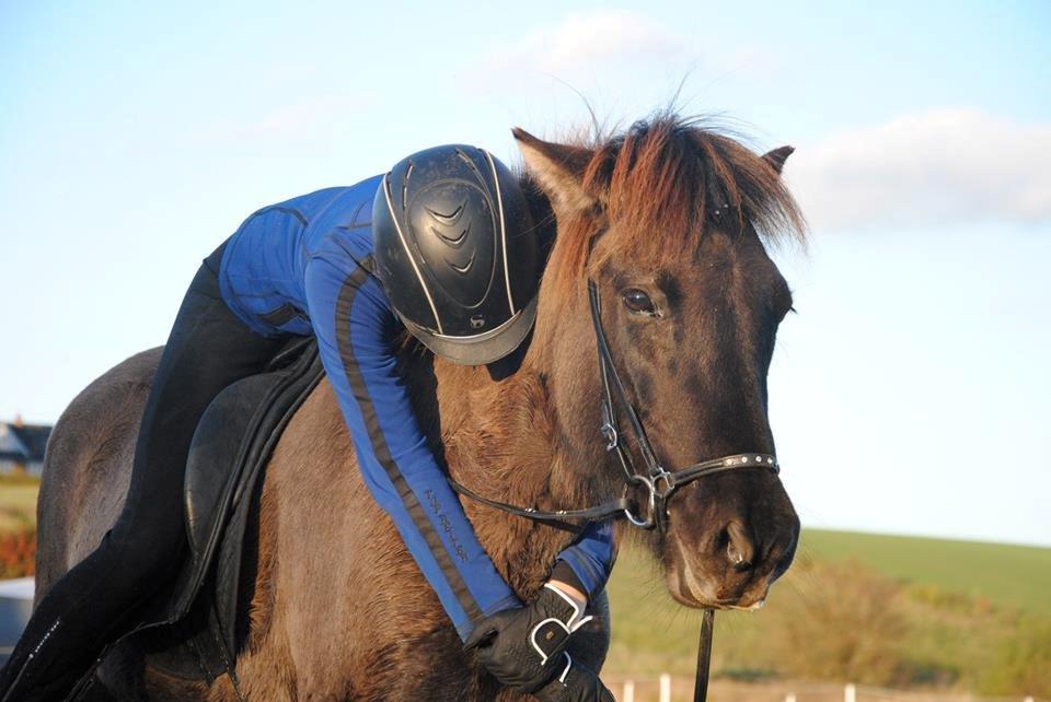 Islænder Gáta fra Grundet Hus - elsker min hest <3 billede 16