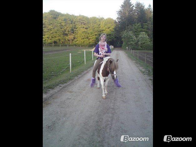 Shetlænder Kandis (den sødeste lille pony)[R.I.P] - min søs var så trat at hun ikke gad at gå så hun hopppede op på Kandis <3 billede 2