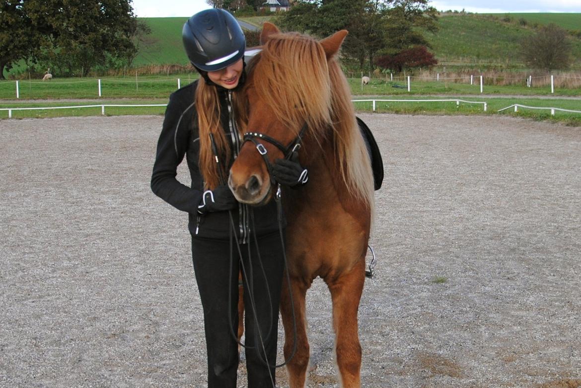 Islænder Trítill Fra Palmevænge - Mussetrolden <3 billede 3