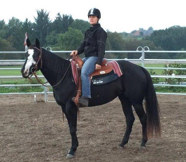 Paint CLP COLONELS LAIDBACK billede 16