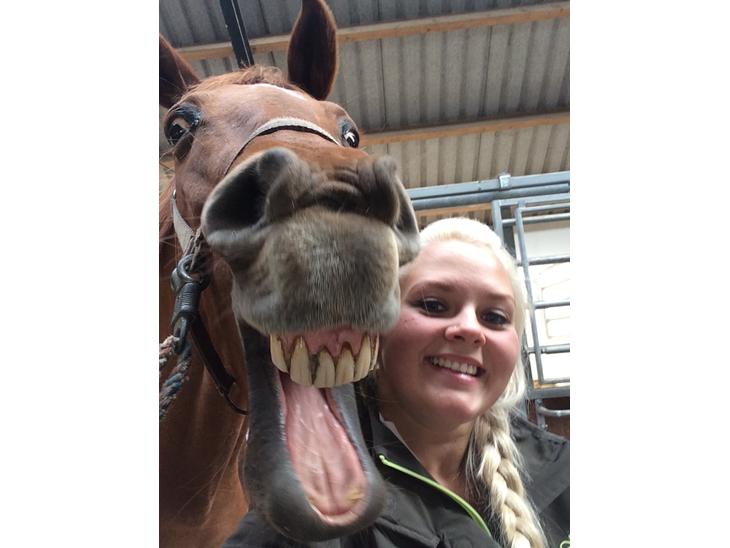 {{currentPhoto.altText}} billede {{currentPhoto.number}}