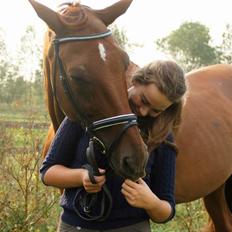 Anden særlig race Santero