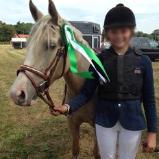 DSP Horsebjergs Dusty Moon