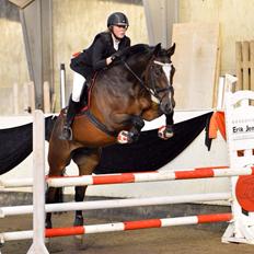 Dansk Varmblod Kildebo's Heartcon