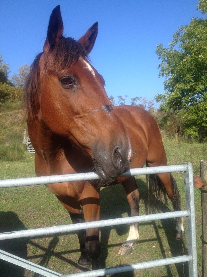 Traver Texaz kaldes texi <3 - 26årige texas billede 23