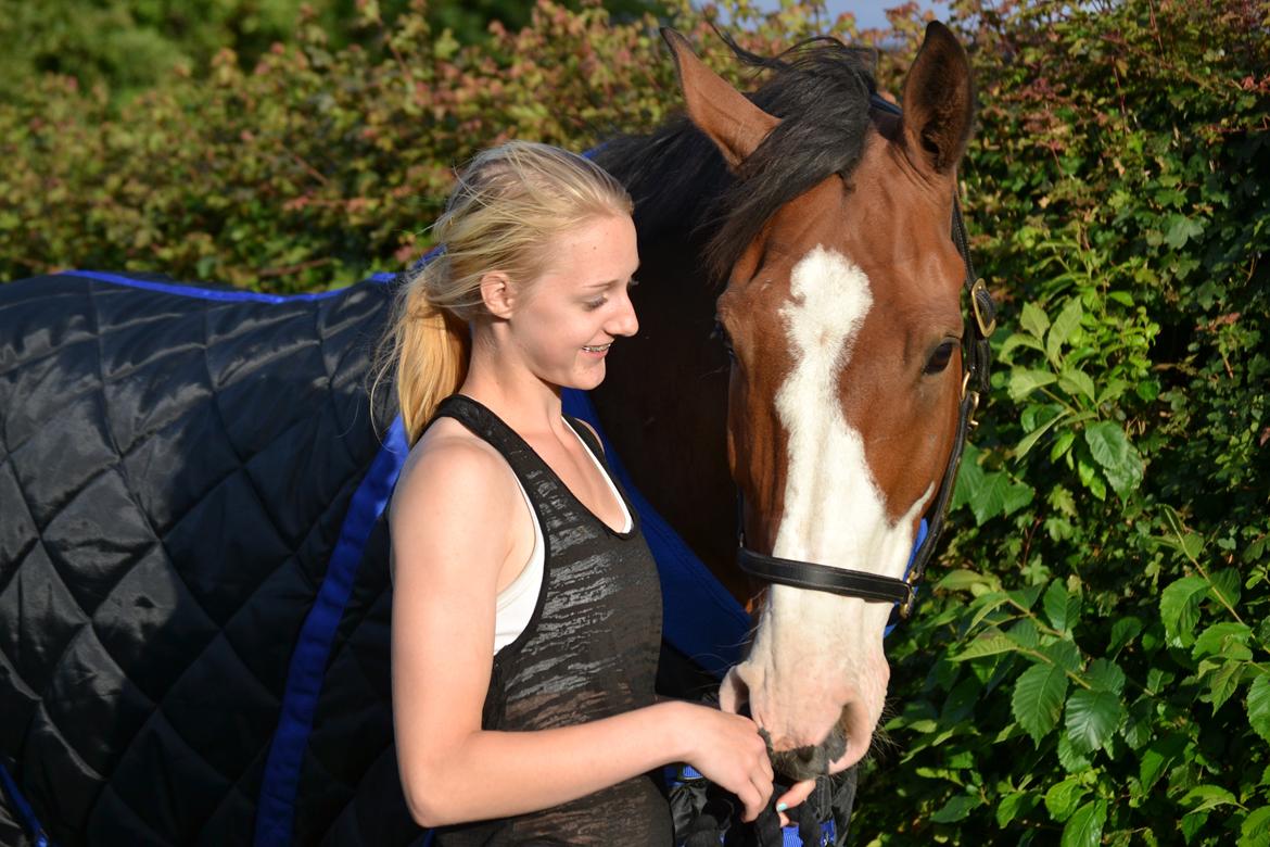 Holstener Fruerholm's Cato - EM 2014! - Bedste ven <3 billede 10