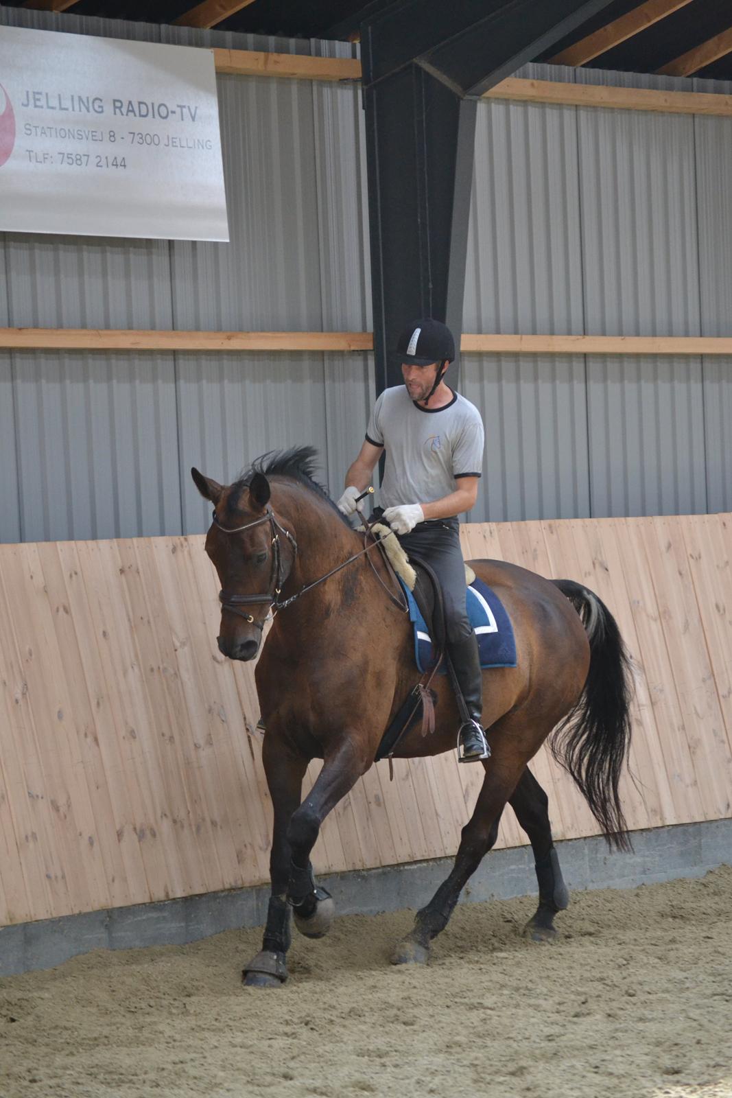 Holstener Jarl billede 2