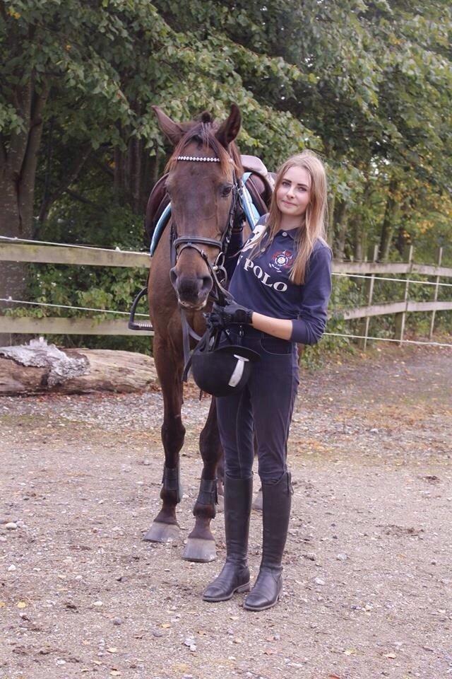 Fuldblod (XX) Timo billede 5