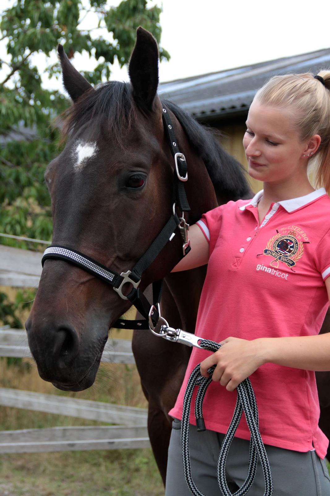 Anden særlig race Lover boy - August 2014 billede 10