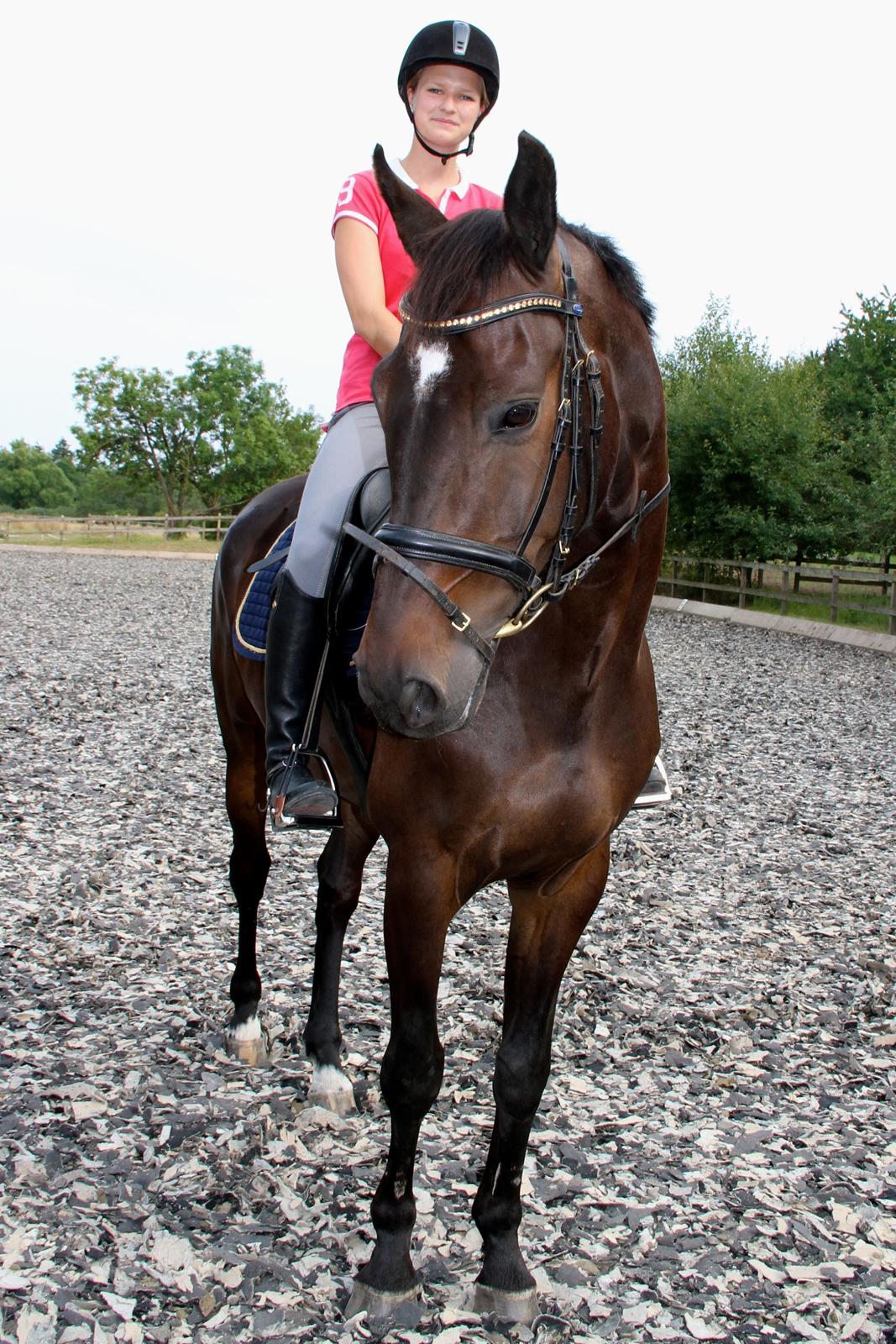 Anden særlig race Lover boy - August 2014 billede 13