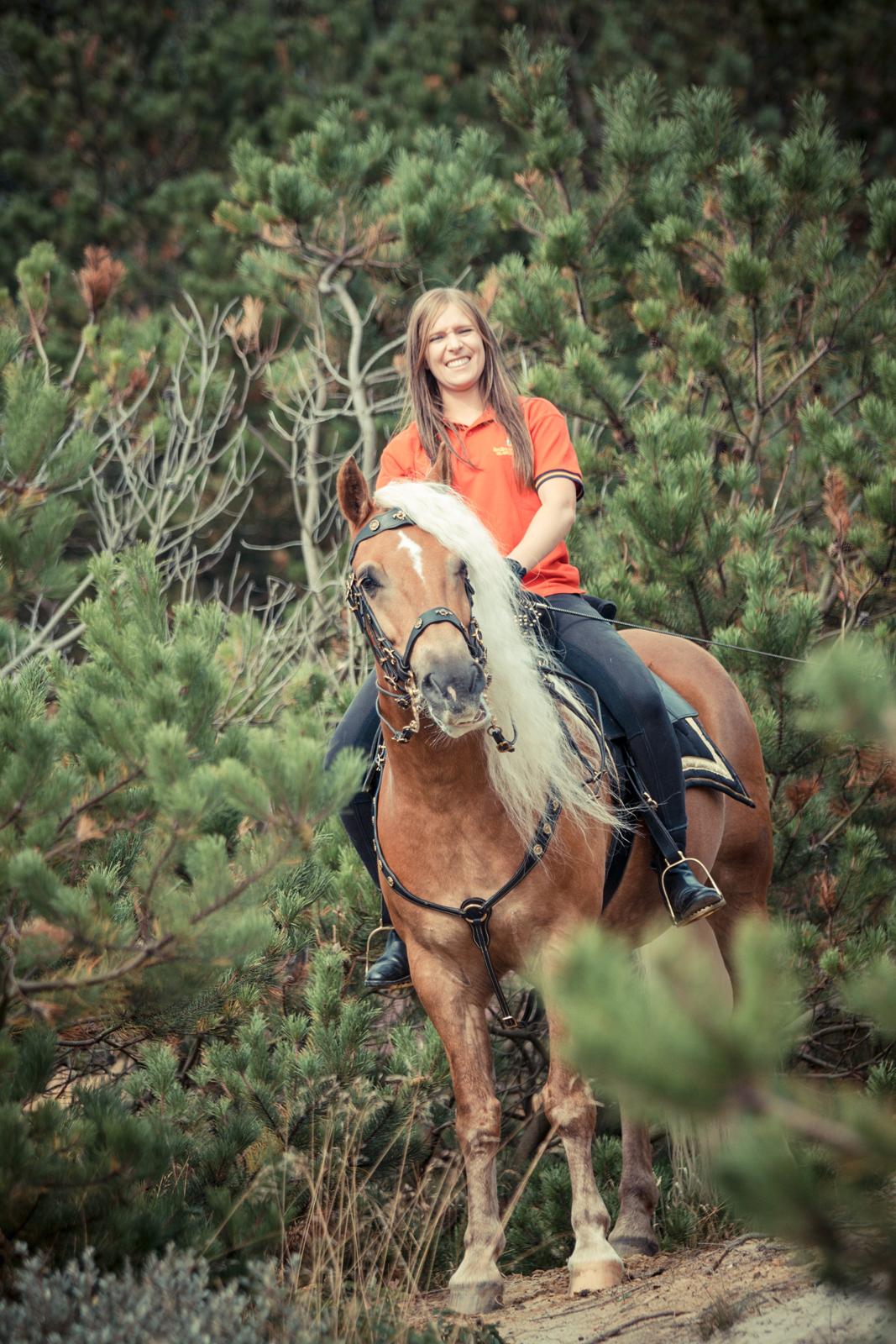 Haflinger WELTENSTOLZ - Billedet er taget af vor-die-linse og flere billeder kan ses på kullagulla.de billede 6