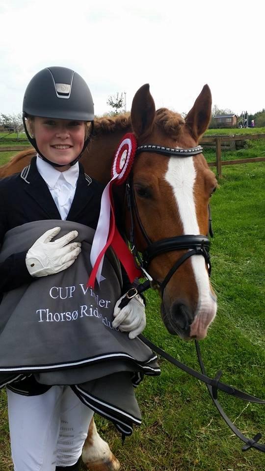 Irsk Sportspony Mr. Derwin <3 - Første gang vi rider LB2 og så vinder vi den!<3 billede 9