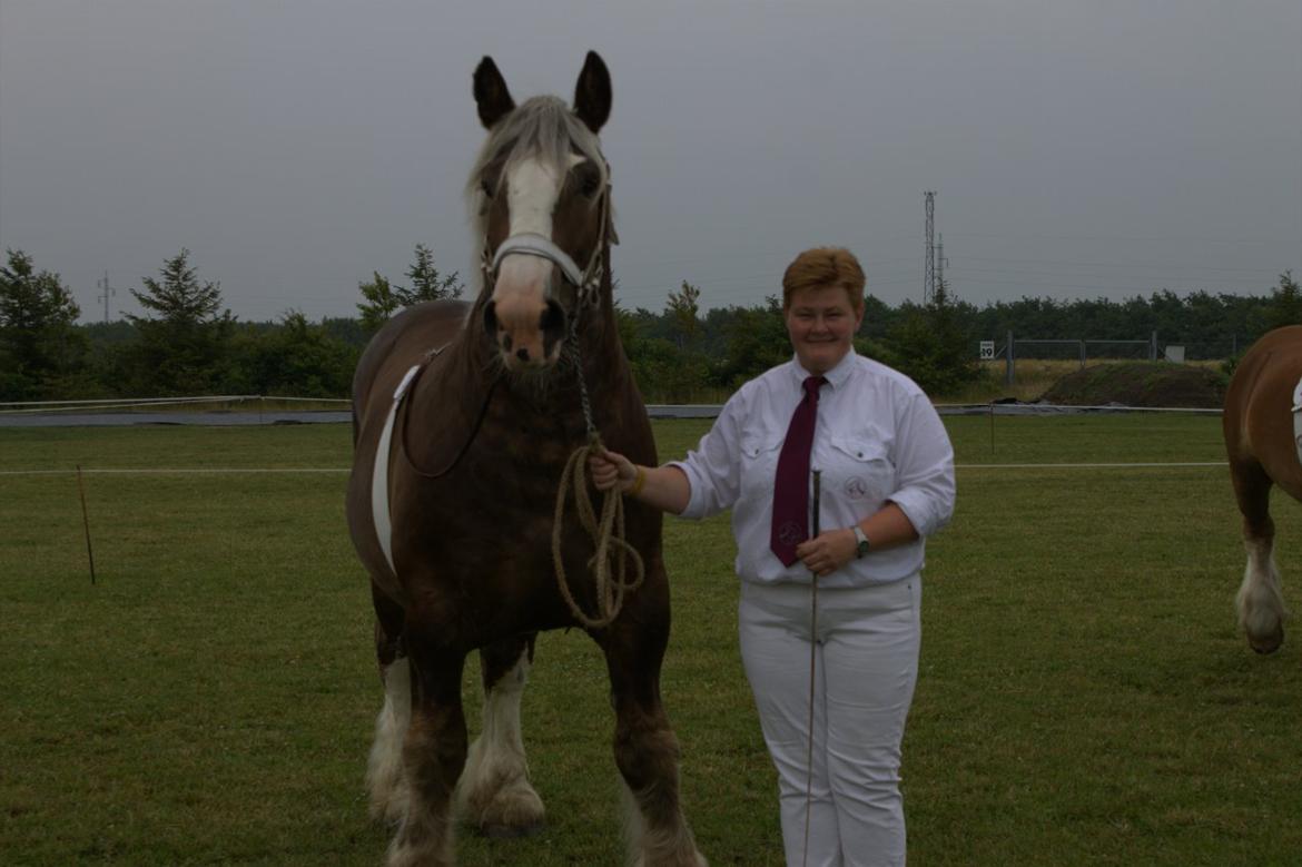 Jyde mikkel (avl) billede 2