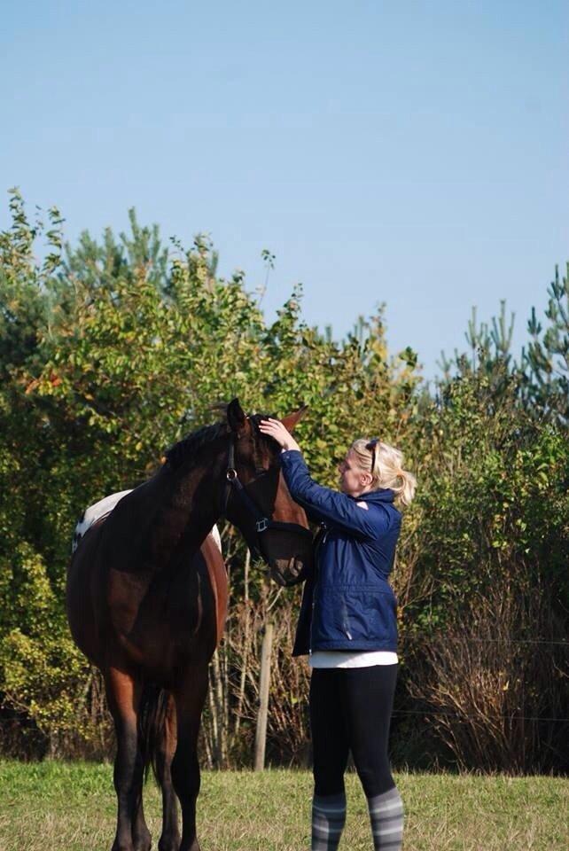 Knabstrupper Bertil af Dutterup billede 3