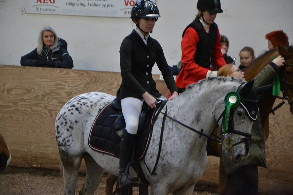 Knabstrupper Mistry<3 A pony billede 29