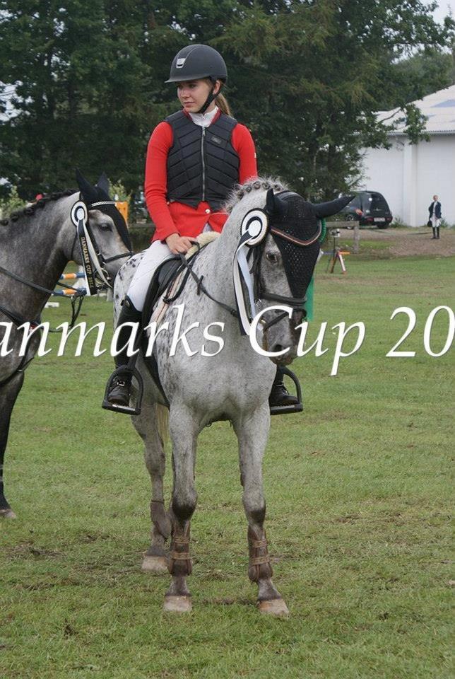 Knabstrupper Mistry<3 A pony billede 36