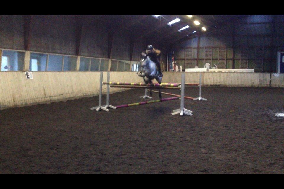 Knabstrupper Mistry<3 A pony billede 41