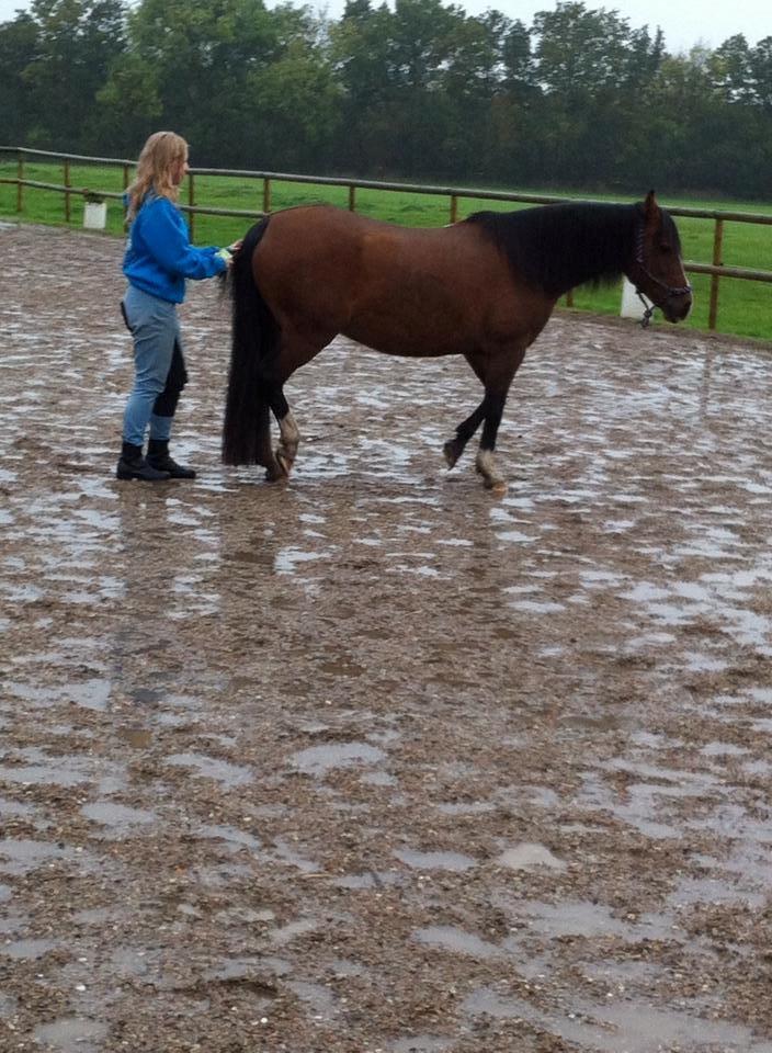 Anden særlig race † Miss Caya † billede 15