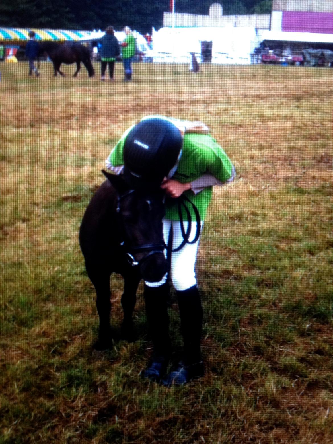 Shetlænder nanna billede 11