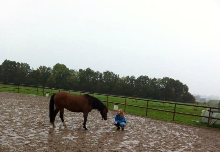 Anden særlig race † Miss Caya † billede 16