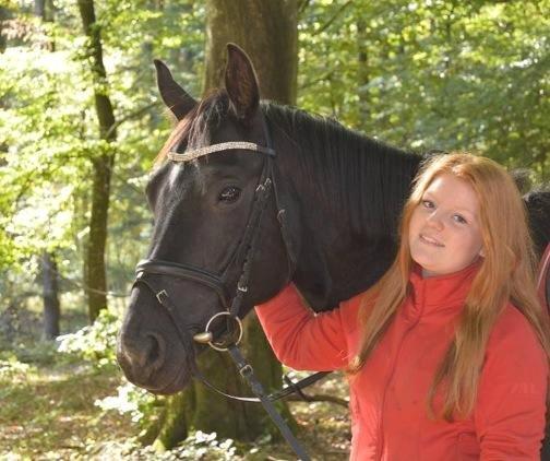 Dansk Varmblod Gørklintgårds Deena billede 5