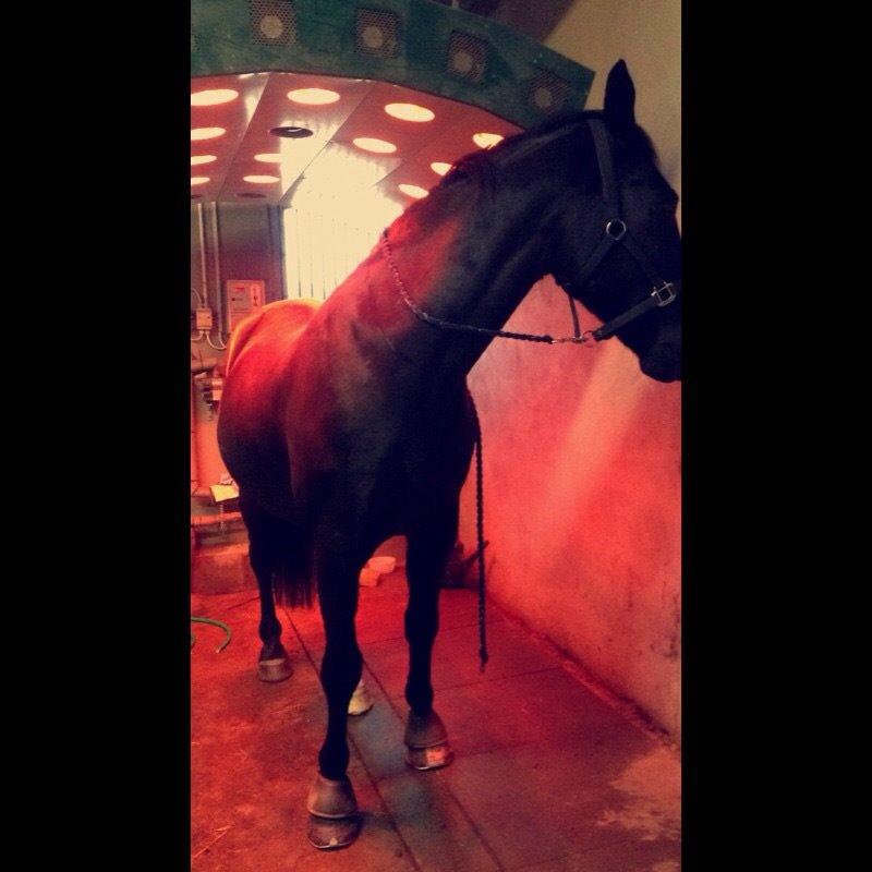 Oldenborg Apollo billede 12