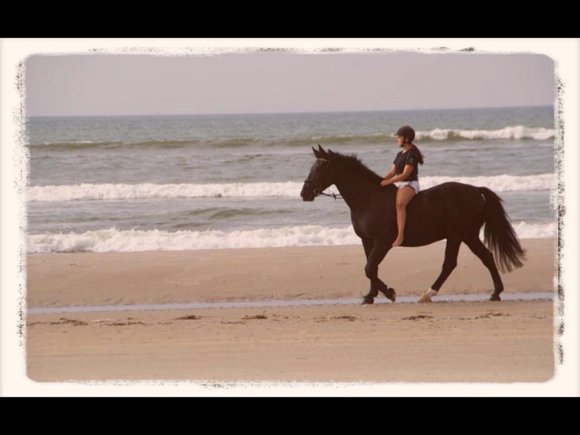 Oldenborg Apollo billede 14