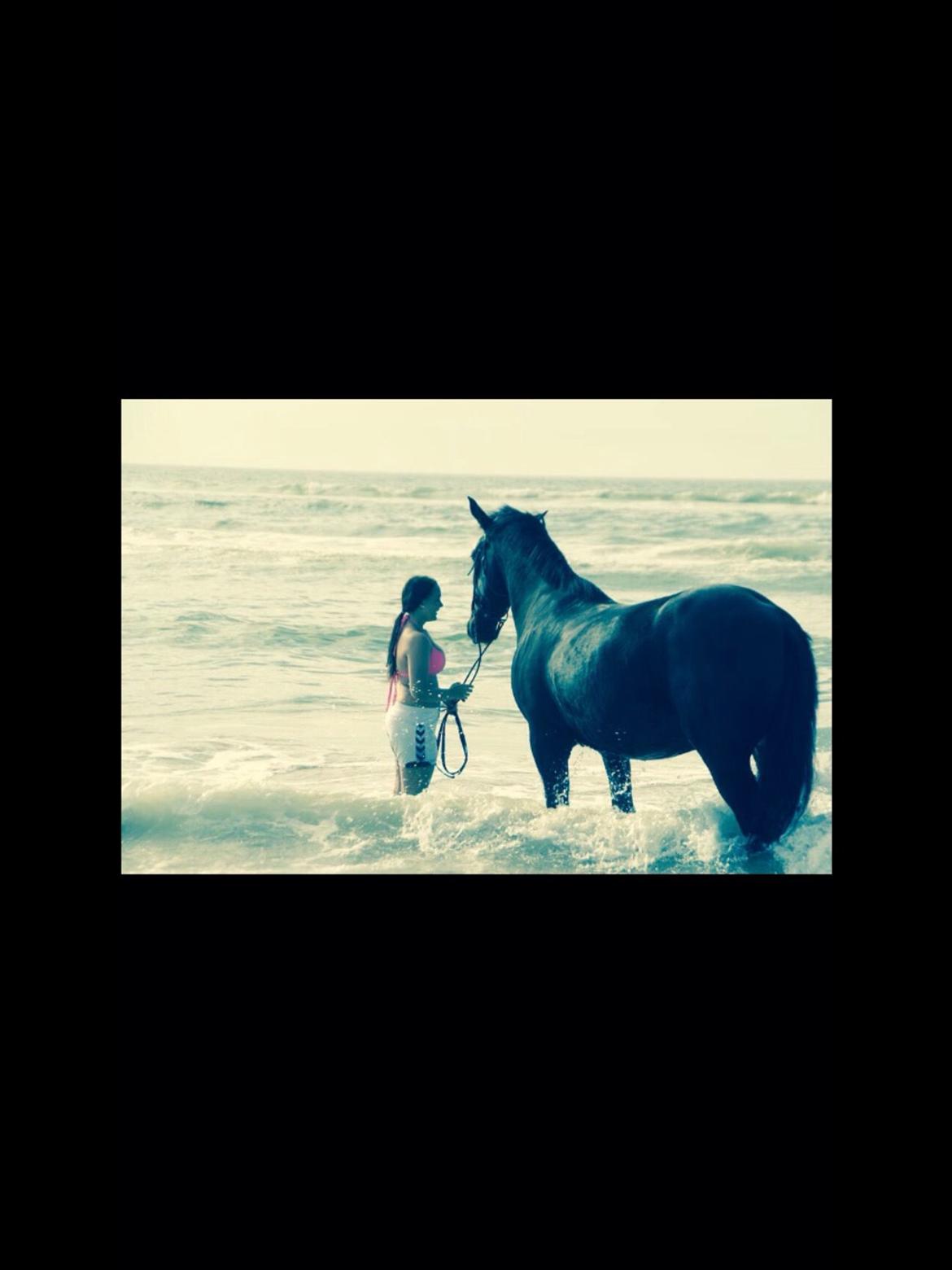 Oldenborg Apollo billede 16