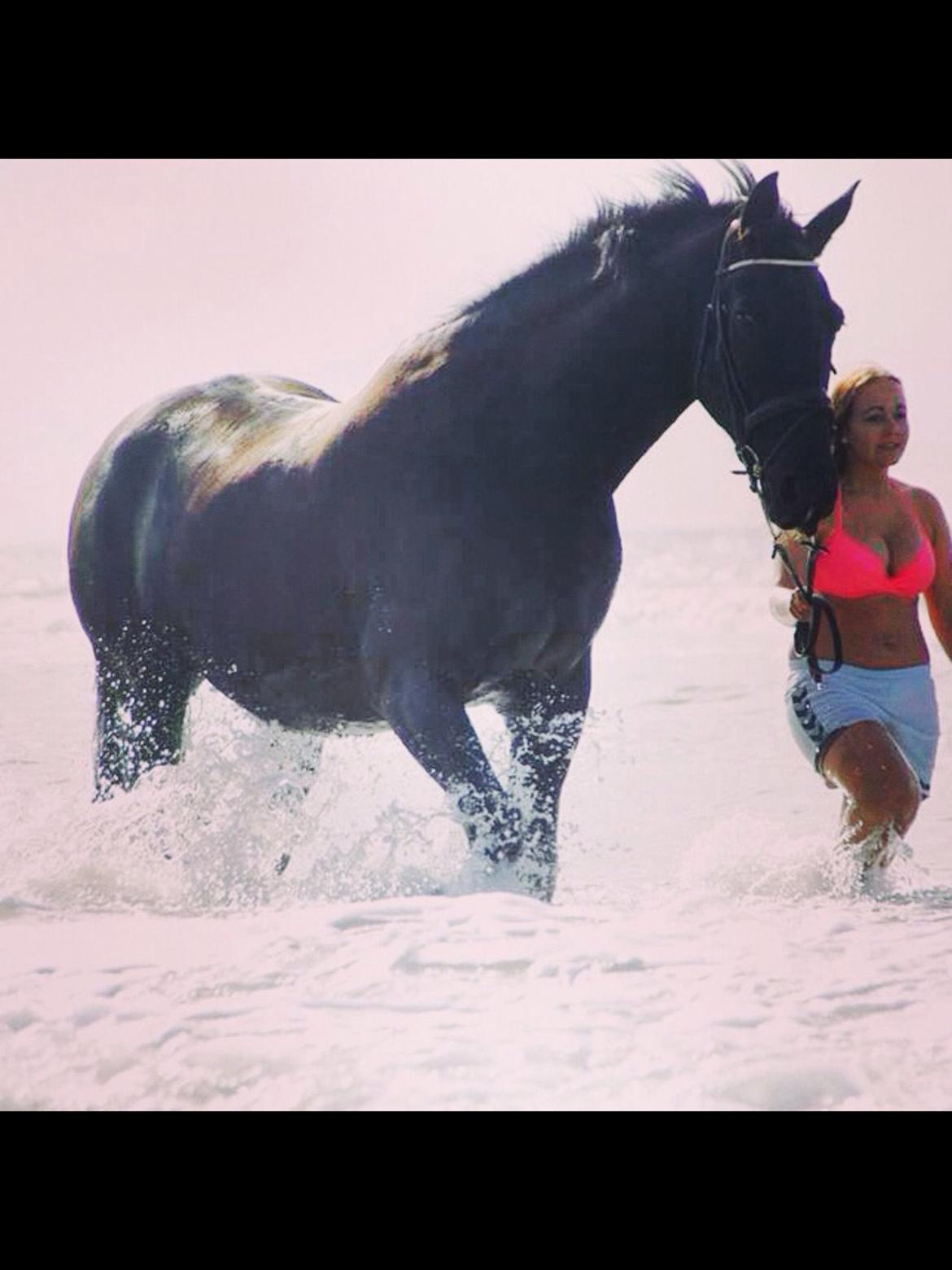 Oldenborg Apollo billede 17