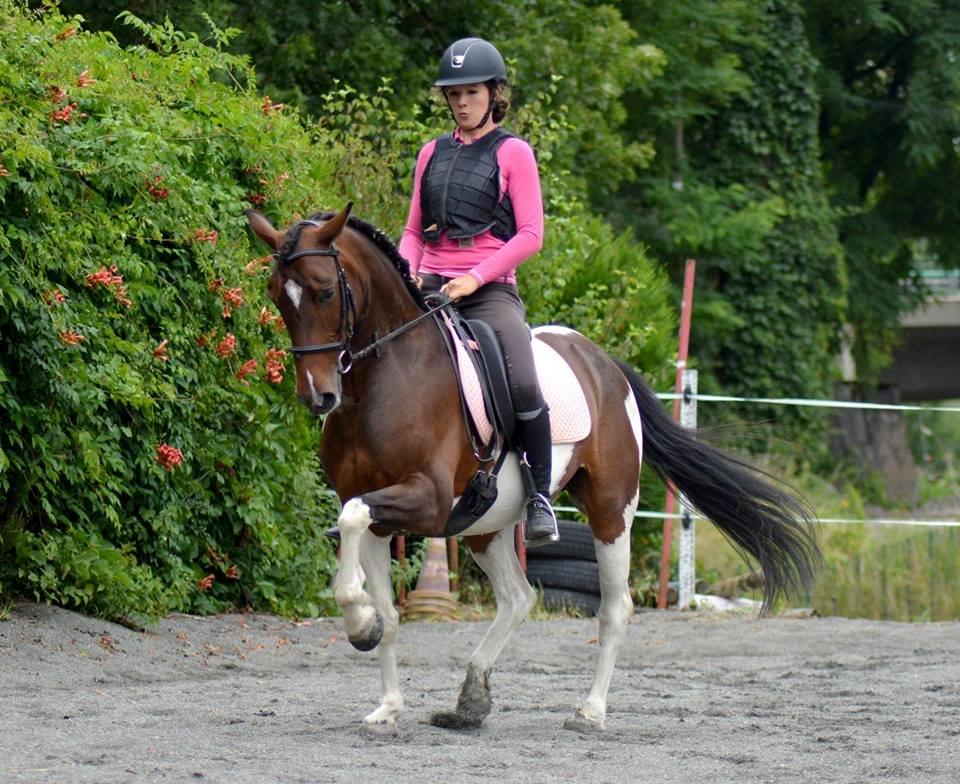 Anden særlig race Tamara billede 7