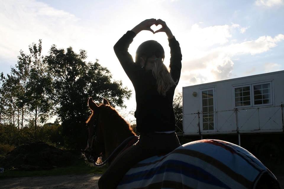 New Forest Østervangs Juvel - elsker hende (fotodag)<3<3 billede 14