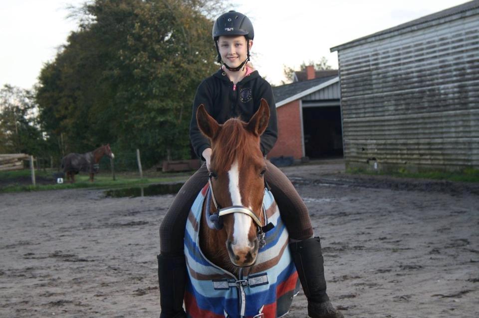 New Forest Østervangs Juvel - Min bedste ven Juvel<3 billede 18