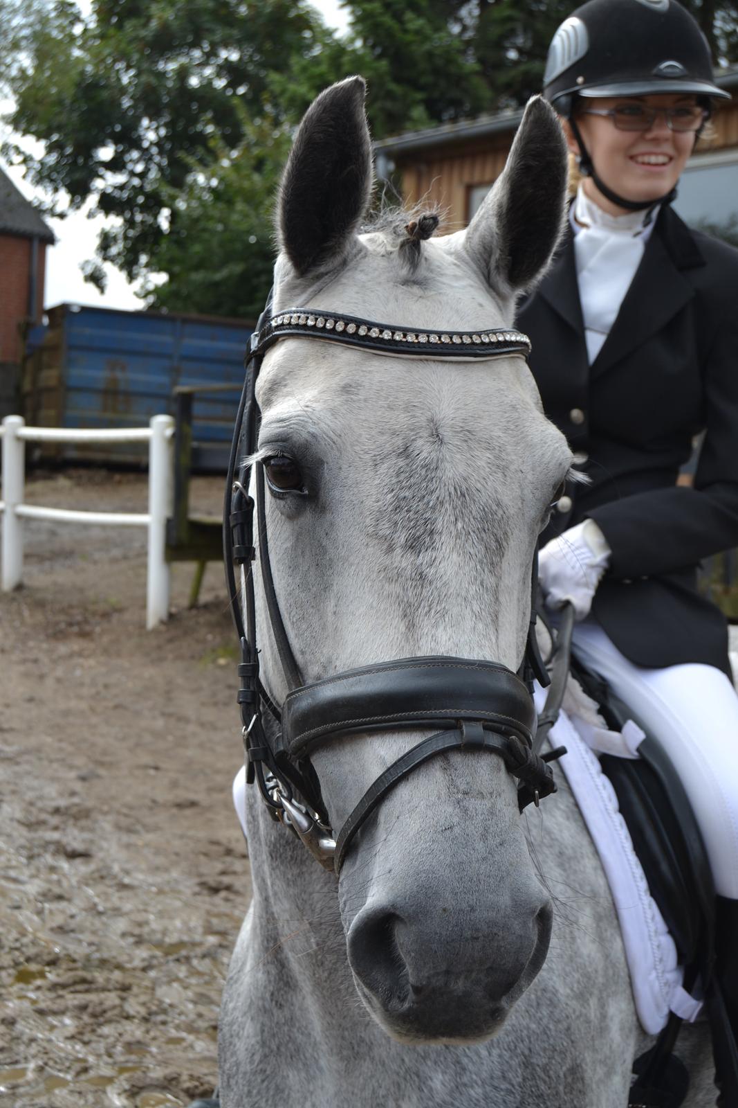 Connemara Hesselholts Wild Rose billede 10