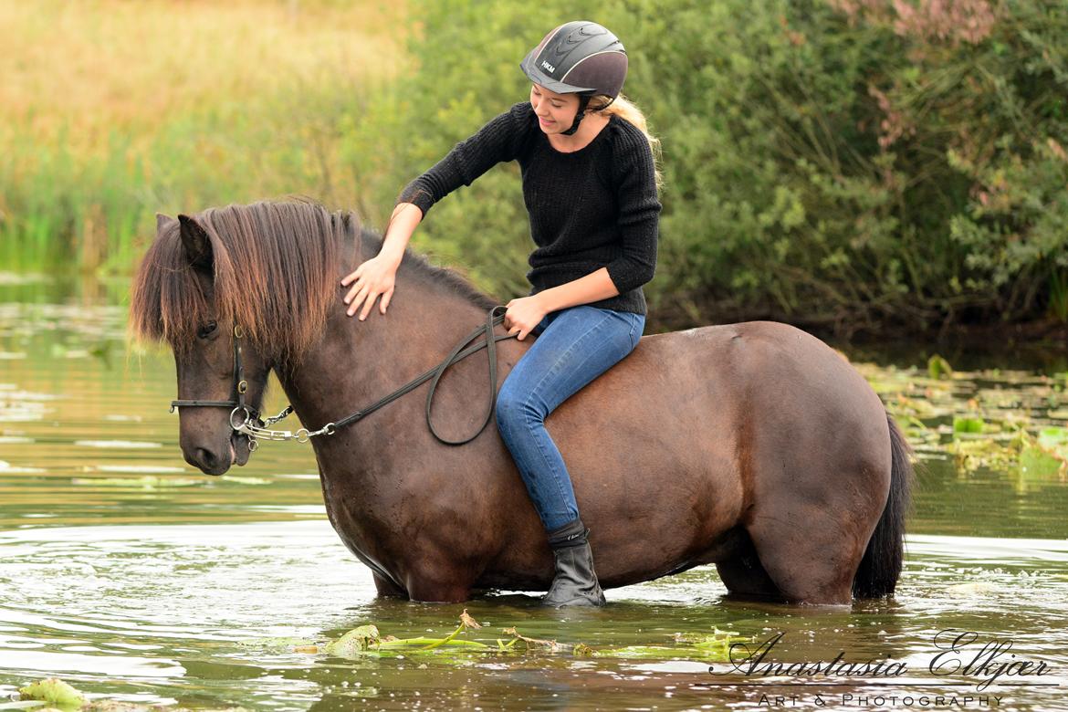 Islænder Frilla fra Katknøs billede 2