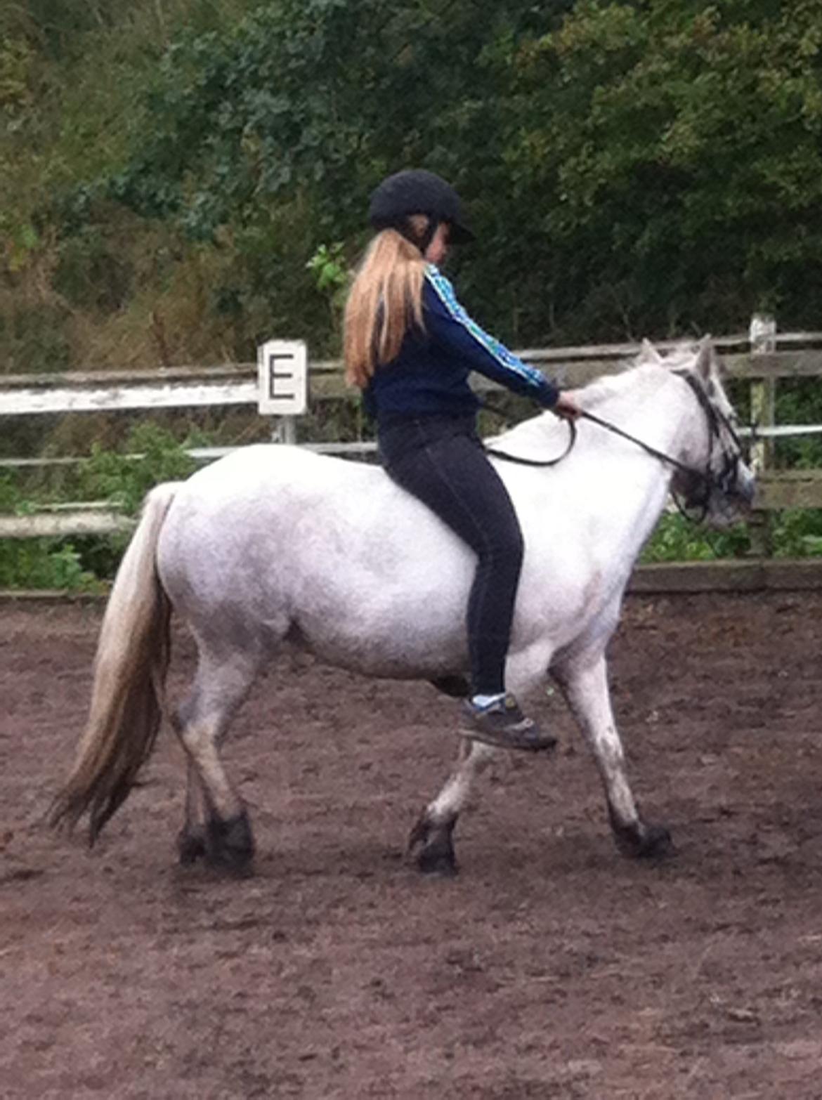 Anden særlig race hva' med grisling - dejlig dag på banen;) billede 17