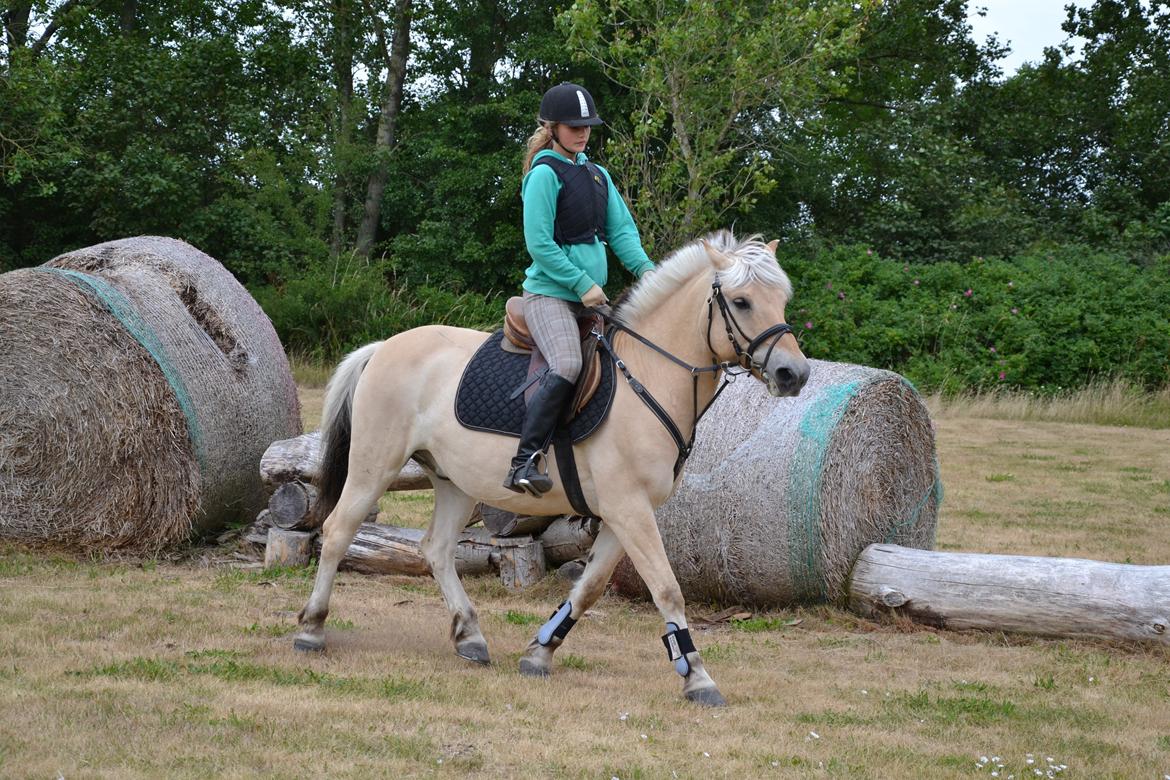 Anden særlig race R.I.P værtens beste pony Polle<3<3 - nede på militaybanen foto josefine billede 20