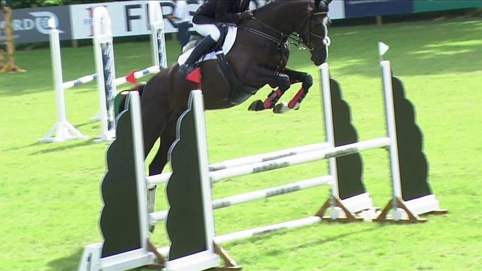 Dansk Varmblod Hair's Balouca - 4. års championat i parken billede 3