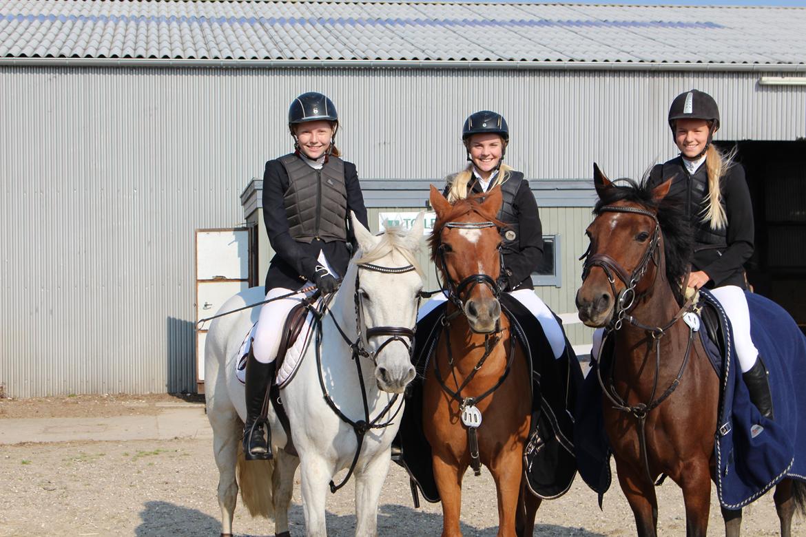 Anden særlig race Celina - Astrid på Cody, Celina og jeg og Emma på Pablo. C-stævne på SLR billede 14