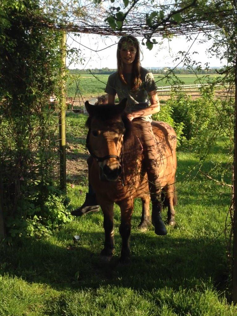 Anden særlig race Karoline - et lille fotoshoot vi lavede i sommers :) billede 10