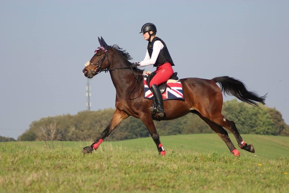 Anden særlig race Dark Stallion - Fotograf: Camilla Steensen billede 18