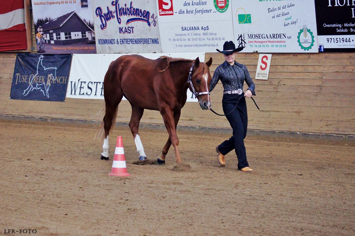 Quarter Starlight Xpress - DM i youth showmanship 2014 billede 7