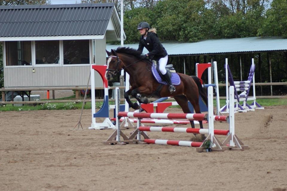 Anden særlig race Maddie billede 27