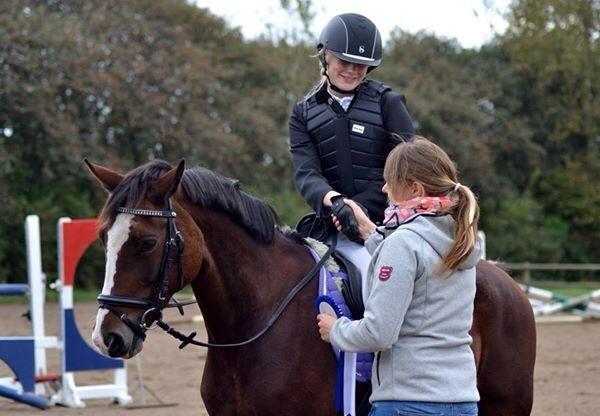 Anden særlig race Maddie billede 34