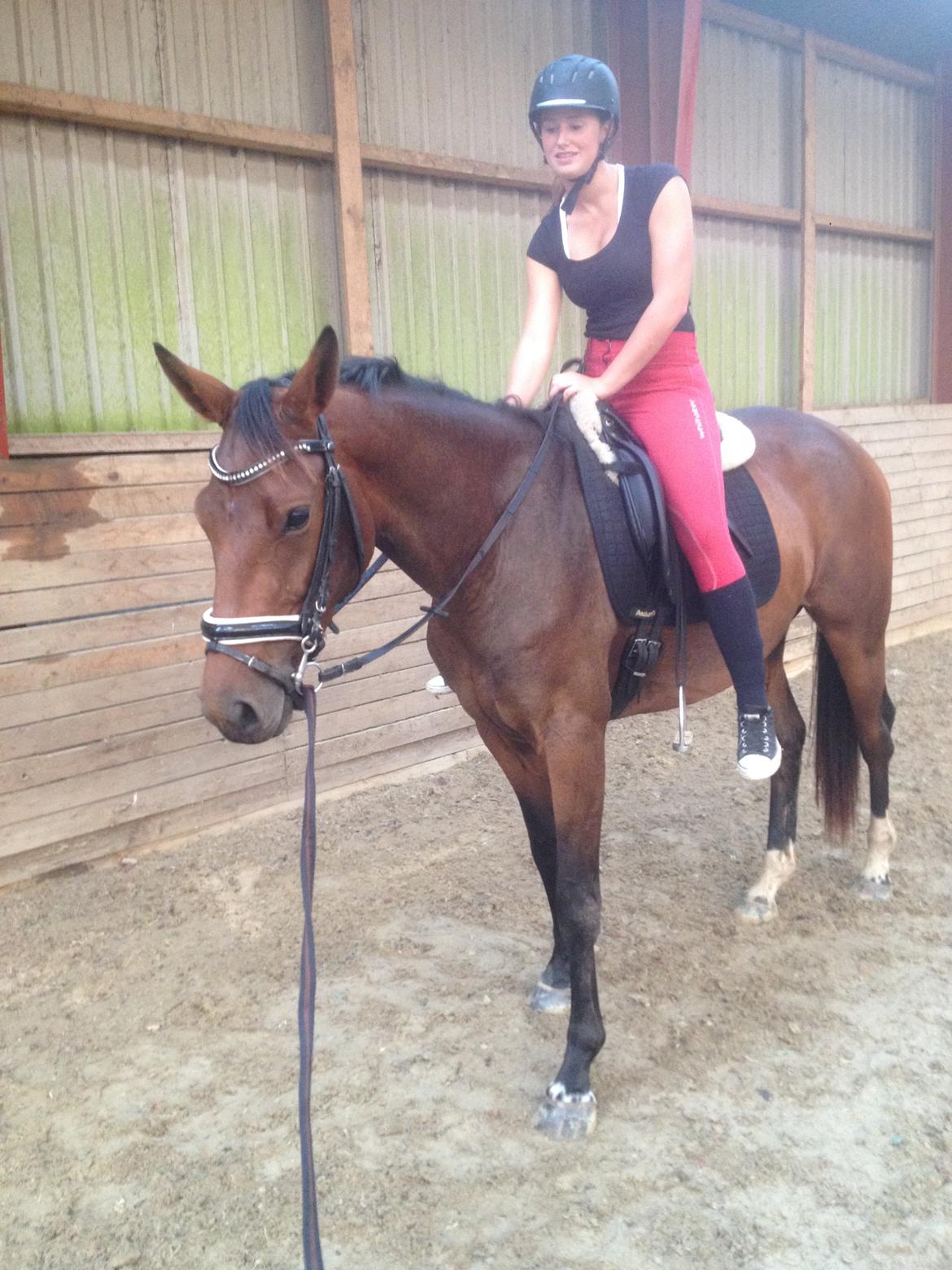 Dansk Varmblod Hedelunds Fiola - Fiola første gang med rytter 07/09-14  billede 14